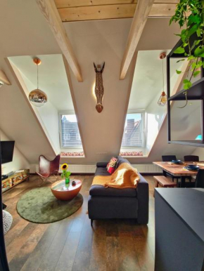 LTS RENT Luxury&Comfortable Etno Loft OLD TOWN free parking